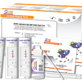 Teste Rápido de LEPTOSPIROSE IgG/ IgM 30 Testes