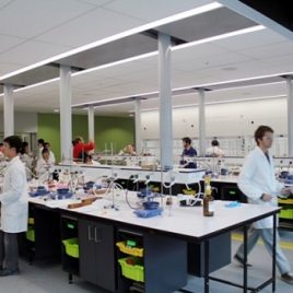 Laboratório de Ensino Fundamental e Médio